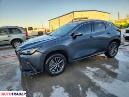 Lexus NX 2024 2