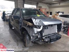 Ford Pozostałe 2025 2