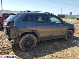 Jeep Cherokee 2021 3