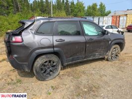 Jeep Cherokee 2019 3