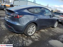 Tesla Model Y 2021 Tesla Model Y 2021
