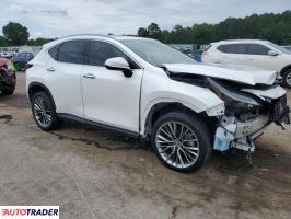 Lexus NX 2022 2 Lexus NX 2022 2