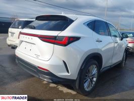 Lexus NX 2025 2