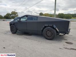 Tesla Pozostałe 2024