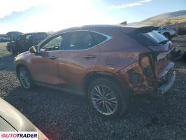 Lexus NX 2025 2