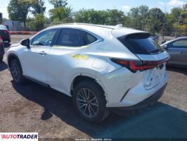 Lexus NX 2024 2