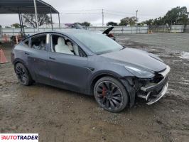 Tesla Model Y 2021 Tesla Model Y 2021