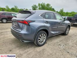Lexus NX 2021 2