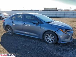 Toyota Corolla 2020 1