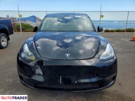 Tesla Model Y 2025