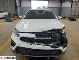 Kia Pozostałe 2019 2