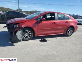 Toyota Corolla - zobacz ofertę