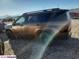 Hyundai Santa Fe 2024 2