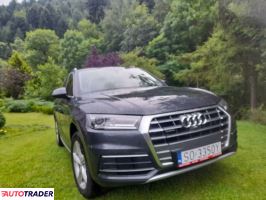 Audi Q5 2019 2.0 252 KM