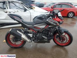 Kawasaki Z 2024 Kawasaki Z 2024