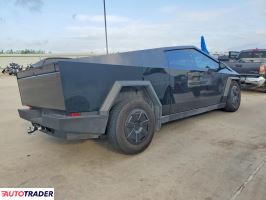 Tesla Pozostałe 2024