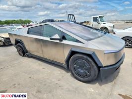 Tesla Pozostałe 2024