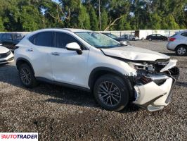 Lexus NX 2024 2