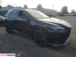 Lexus NX 2024 2