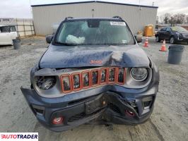 Jeep Renegade 2021 1