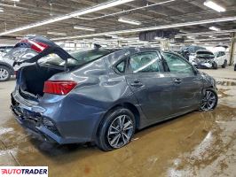 Kia Pozostałe 2024 2