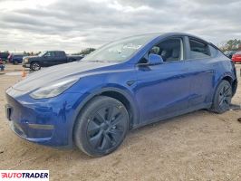 Tesla Model Y 2025