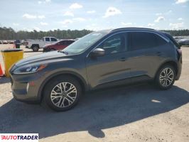 Ford Escape - zobacz ofertę