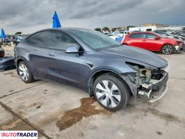 Tesla Model Y 2021 Tesla Model Y 2021