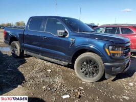 Ford Pozostałe 2024 2