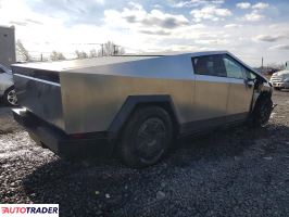 Tesla Pozostałe 2025