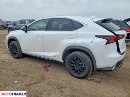 Lexus NX 2021 2