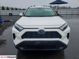 Toyota Pozostałe 2024