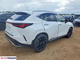 Lexus NX 2024 2