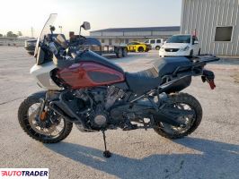Harley-Davidson Pozostałe 2024