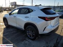 Lexus NX 2024 2