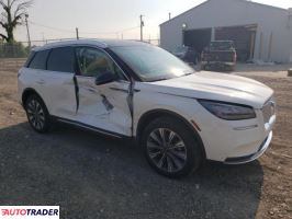 Lincoln Pozostałe 2021 2