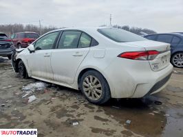 Toyota Corolla 2020 1