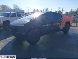 Tesla Pozostałe 2024