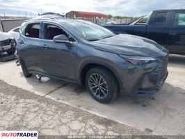 Lexus NX 2024 2