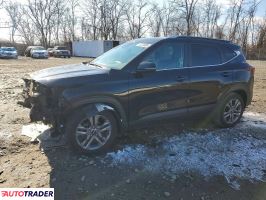 Kia Pozostałe 2021 2