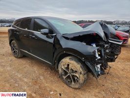 Kia Sportage 2024 2