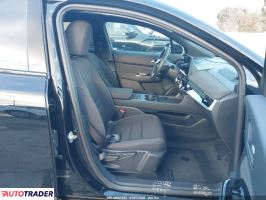 Honda Pozostałe 2024