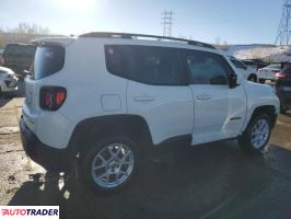 Jeep Renegade 2019 2