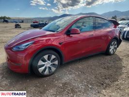 Tesla Model Y 2020