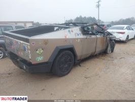 Tesla Pozostałe 2024