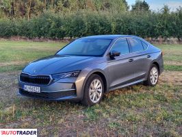 Skoda Octavia - zobacz ofertę