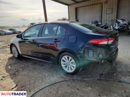 Toyota Corolla 2025 2