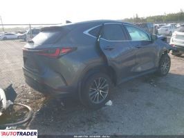 Lexus NX 2024 2