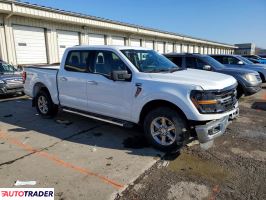 Ford Pozostałe 2024 2