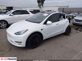 Tesla Model Y 2020